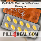 What Is Kamagra Oral Jelly 42
